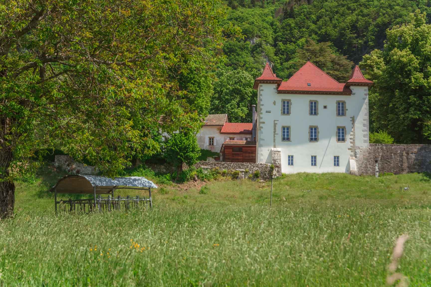 Chartreux in Frankreich, umgeben von viel Natur