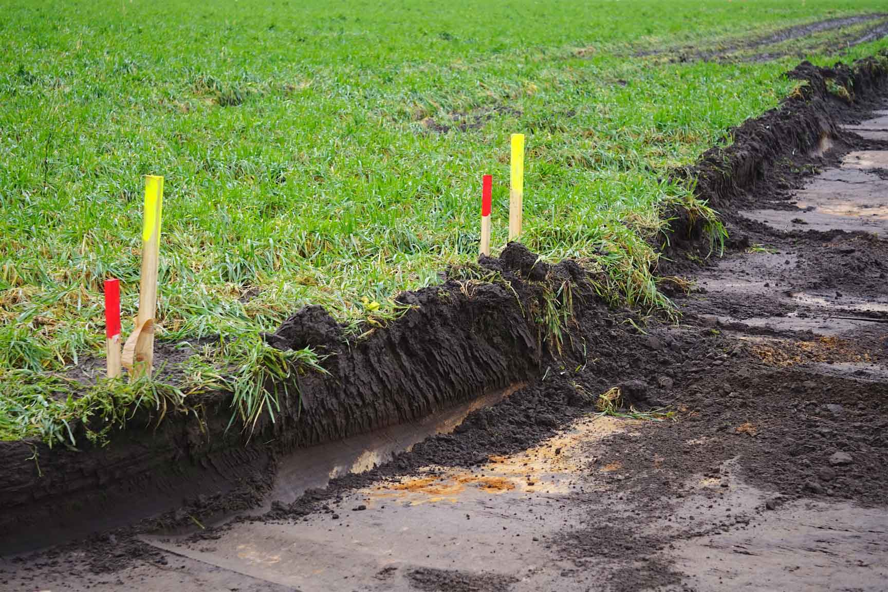 Grenzabmarkung auf einer Wiese mit Holzpfl&ouml;cken und farbigen Markierungen entlang eines frisch ausgehobenen Grabens.