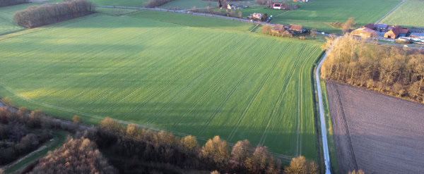 Großes Grundstück mit viel Freifläche.