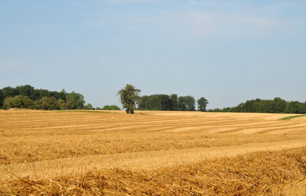 Vorkaufsrecht für Landwirtschaft
